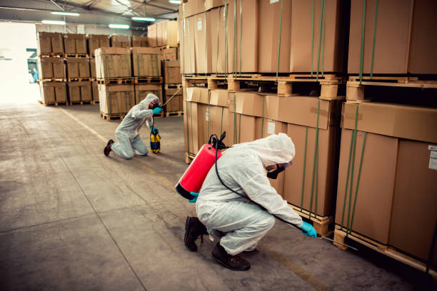 Best Exterminator Services  in Winnetka, IL