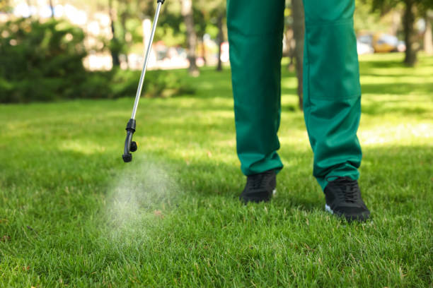 Reliable Winnetka, IL Pest Control Solutions