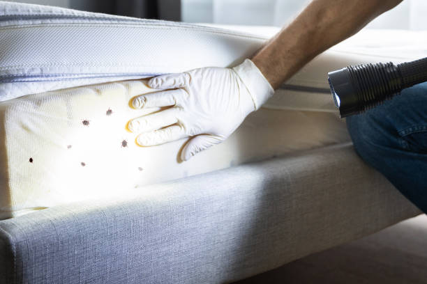 Best Best Pest Control Companies  in Winnetka, IL