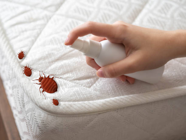 Best Insect Control  in Winnetka, IL