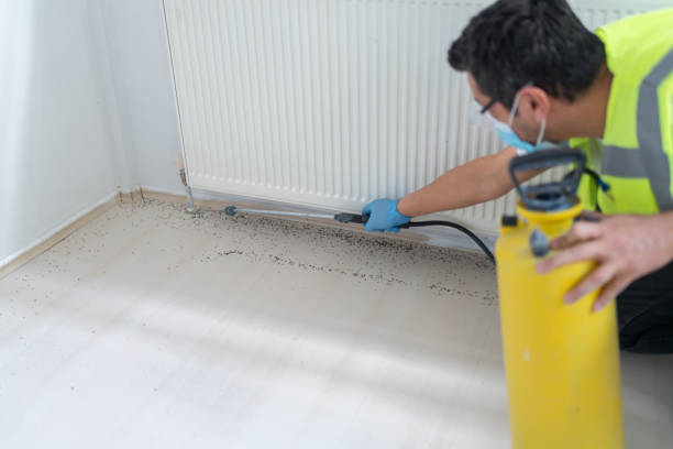 Best Pest Removal Services  in Winnetka, IL